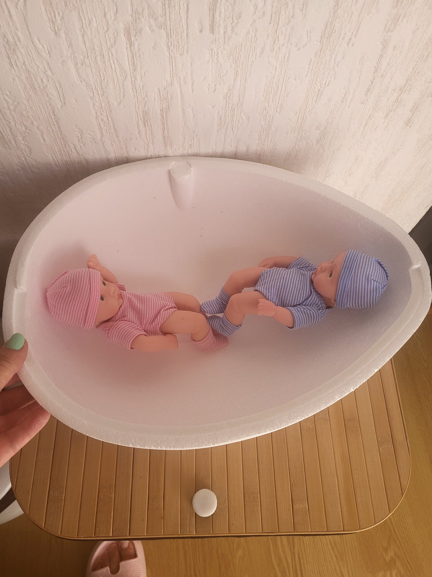 L'oeuf avec deux bébé